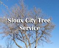 Sioux City Tree Service